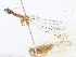  ( - CBG-A18397-H09)  @11 [ ] CreativeCommons - Attribution Share-Alike (2023) CBG Photography Group Centre for Biodiversity Genomics