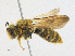  ( - CBG-A18398-D04)  @11 [ ] CreativeCommons - Attribution Share-Alike (2023) CBG Photography Group Centre for Biodiversity Genomics
