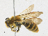  ( - CBG-A18398-D06)  @11 [ ] CreativeCommons - Attribution Share-Alike (2023) CBG Photography Group Centre for Biodiversity Genomics