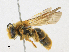  ( - CBG-A18398-D09)  @11 [ ] CreativeCommons - Attribution Share-Alike (2023) CBG Photography Group Centre for Biodiversity Genomics