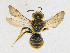  ( - CBG-A18398-E02)  @11 [ ] CreativeCommons - Attribution Share-Alike (2023) CBG Photography Group Centre for Biodiversity Genomics