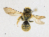  ( - CBG-A18398-E03)  @11 [ ] CreativeCommons - Attribution Share-Alike (2023) CBG Photography Group Centre for Biodiversity Genomics