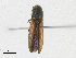  ( - CBG-A18398-E08)  @11 [ ] CreativeCommons - Attribution Share-Alike (2023) CBG Photography Group Centre for Biodiversity Genomics