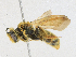  ( - CBG-A18398-F02)  @11 [ ] CreativeCommons - Attribution Share-Alike (2023) CBG Photography Group Centre for Biodiversity Genomics
