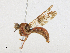  ( - CBG-A18398-F03)  @11 [ ] CreativeCommons - Attribution Share-Alike (2023) CBG Photography Group Centre for Biodiversity Genomics