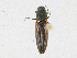  ( - CBG-A18398-F09)  @11 [ ] CreativeCommons - Attribution Share-Alike (2023) CBG Photography Group Centre for Biodiversity Genomics