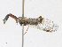  ( - CBG-A17513-A12)  @11 [ ] CreativeCommons - Attribution Share - Alike (2023) CBG Photography Group Centre for Biodiversity Genomics