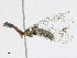  ( - CBG-A17513-B04)  @11 [ ] CreativeCommons - Attribution Share - Alike (2023) CBG Photography Group Centre for Biodiversity Genomics