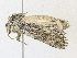  ( - CBG-A17523-C12)  @11 [ ] CreativeCommons - Attribution Share - Alike (2023) CBG Photography Group Centre for Biodiversity Genomics