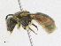  ( - CBG-A17551-A11)  @11 [ ] CreativeCommons - Attribution Share - Alike (2023) CBG Photography Group Centre for Biodiversity Genomics