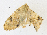  ( - CBG-A17556-D12)  @11 [ ] CreativeCommons - Attribution Share - Alike (2023) CBG Photography Group Centre for Biodiversity Genomics