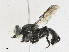  ( - CBG-A17556-F10)  @11 [ ] CreativeCommons - Attribution Share - Alike (2023) CBG Photography Group Centre for Biodiversity Genomics