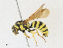  ( - CBG-A18354-D11)  @11 [ ] CreativeCommons - Attribution Share - Alike (2023) CBG Photography Group Centre for Biodiversity Genomics