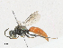  ( - CBG-A18358-C10)  @11 [ ] CreativeCommons - Attribution Share - Alike (2023) CBG Photography Group Centre for Biodiversity Genomics