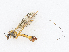  ( - CBG-A18367-H05)  @11 [ ] CreativeCommons - Attribution Share - Alike (2023) CBG Photography Group Centre for Biodiversity Genomics