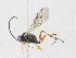  ( - CBG-A18368-E10)  @11 [ ] CreativeCommons - Attribution Share - Alike (2023) CBG Photography Group Centre for Biodiversity Genomics