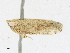  ( - CBG-A18369-C06)  @11 [ ] CreativeCommons - Attribution Share - Alike (2023) CBG Photography Group Centre for Biodiversity Genomics