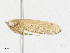  ( - CBG-A18369-C07)  @11 [ ] CreativeCommons - Attribution Share - Alike (2023) CBG Photography Group Centre for Biodiversity Genomics