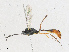  ( - CBG-A18369-F05)  @11 [ ] CreativeCommons - Attribution Share - Alike (2023) CBG Photography Group Centre for Biodiversity Genomics