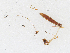  ( - CBG-A18399-C08)  @11 [ ] CreativeCommons - Attribution Share - Alike (2023) CBG Photography Group Centre for Biodiversity Genomics