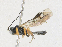  ( - CBG-A18399-D01)  @11 [ ] CreativeCommons - Attribution Share - Alike (2023) CBG Photography Group Centre for Biodiversity Genomics