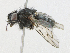  ( - CBG-A21605-G03)  @11 [ ] CreativeCommons - Attribution Share - Alike (2023) CBG Photography Group Centre for Biodiversity Genomics
