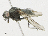  ( - CBG-A21605-G09)  @11 [ ] CreativeCommons - Attribution Share - Alike (2023) CBG Photography Group Centre for Biodiversity Genomics