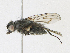  ( - CBG-A21606-C10)  @11 [ ] CreativeCommons - Attribution Share - Alike (2023) CBG Photography Group Centre for Biodiversity Genomics