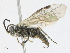  ( - CBG-A21608-A04)  @11 [ ] CreativeCommons - Attribution Share - Alike (2023) CBG Photography Group Centre for Biodiversity Genomics
