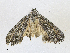  ( - CBG-A21636-C08)  @11 [ ] CreativeCommons - Attribution Share - Alike (2023) CBG Photography Group Centre for Biodiversity Genomics