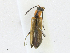  ( - CBG-A21639-B08)  @11 [ ] CreativeCommons - Attribution Share - Alike (2023) CBG Photography Group Centre for Biodiversity Genomics