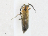  ( - CBG-A21639-C05)  @11 [ ] CreativeCommons - Attribution Share - Alike (2023) CBG Photography Group Centre for Biodiversity Genomics