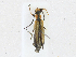  ( - CBG-A21639-C07)  @11 [ ] CreativeCommons - Attribution Share - Alike (2023) CBG Photography Group Centre for Biodiversity Genomics