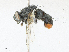  ( - CBG-A21640-G09)  @11 [ ] CreativeCommons - Attribution Share - Alike (2023) CBG Photography Group Centre for Biodiversity Genomics