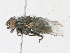  ( - CBG-A21682-B11)  @11 [ ] CreativeCommons - Attribution Share - Alike (2023) CBG Photography Group Centre for Biodiversity Genomics