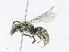  ( - CBG-A21682-H07)  @11 [ ] CreativeCommons - Attribution Share - Alike (2023) CBG Photography Group Centre for Biodiversity Genomics