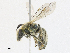  ( - CBG-A21683-A05)  @11 [ ] CreativeCommons - Attribution Share - Alike (2023) CBG Photography Group Centre for Biodiversity Genomics