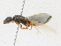  ( - CBG-A21713-B10)  @11 [ ] CreativeCommons - Attribution Share - Alike (2023) CBG Photography Group Centre for Biodiversity Genomics
