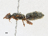  ( - CBG-A21713-B11)  @11 [ ] CreativeCommons - Attribution Share - Alike (2023) CBG Photography Group Centre for Biodiversity Genomics