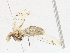  ( - CBG-A21713-G07)  @11 [ ] CreativeCommons - Attribution Share - Alike (2023) CBG Photography Group Centre for Biodiversity Genomics