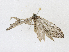  ( - CBG-A21714-B11)  @11 [ ] CreativeCommons - Attribution Share - Alike (2023) CBG Photography Group Centre for Biodiversity Genomics