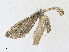  ( - CBG-A21714-B12)  @11 [ ] CreativeCommons - Attribution Share - Alike (2023) CBG Photography Group Centre for Biodiversity Genomics