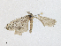  ( - CBG-A21714-C02)  @11 [ ] CreativeCommons - Attribution Share - Alike (2023) CBG Photography Group Centre for Biodiversity Genomics