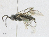  ( - CBG-A21714-E07)  @11 [ ] CreativeCommons - Attribution Share - Alike (2023) CBG Photography Group Centre for Biodiversity Genomics