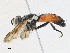  ( - CBG-A21721-C01)  @11 [ ] CreativeCommons - Attribution Share - Alike (2023) CBG Photography Group Centre for Biodiversity Genomics