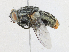  ( - CBG-A21721-D01)  @11 [ ] CreativeCommons - Attribution Share - Alike (2023) CBG Photography Group Centre for Biodiversity Genomics