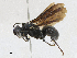  ( - CBG-A21721-E04)  @11 [ ] CreativeCommons - Attribution Share - Alike (2023) CBG Photography Group Centre for Biodiversity Genomics