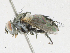  ( - CBG-A21722-E09)  @11 [ ] CreativeCommons - Attribution Share - Alike (2023) CBG Photography Group Centre for Biodiversity Genomics