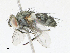  ( - CBG-A21722-G10)  @11 [ ] CreativeCommons - Attribution Share - Alike (2023) CBG Photography Group Centre for Biodiversity Genomics
