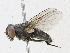  ( - CBG-A23313-A12)  @11 [ ] CreativeCommons - Attribution Share - Alike (2023) CBG Photography Group Centre for Biodiversity Genomics